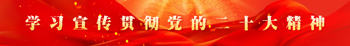 学习宣传贯彻党的二十大精神